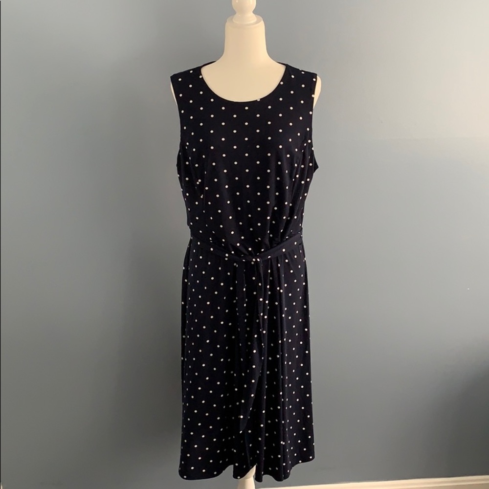 Navy and White Polka Dot  Charter Club Dress